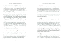 Lataa kuva Galleria-katseluun, The Green Witche's Garden Journal