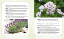 Lataa kuva Galleria-katseluun, Green Witchcraft - Kirja Paperinoita