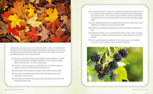 Lataa kuva Galleria-katseluun, Green Witchcraft - Kirja Paperinoita