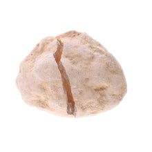 Lataa kuva Galleria-katseluun, Medium Quartz Geode Vives de la Cortada S.L