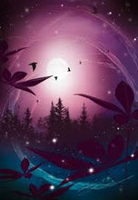 Lataa kuva Galleria-katseluun, Käytetty Korttipakka Mielenmaisema -voimakortit (+ opaskirja)