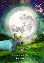 Lataa kuva Galleria-katseluun, Moonology Manifestation Oracle - Korttipakka - Astrologia, Awakening, Hay House, Hengellisyys, Henkinen voima, Korttipakat, Korttipakka, Kuu, Kuun voima, Löydä itsesi, Moonology, Mystisyys, Noita, Noituus, Oraakkeli kortit, Tarot, Tarot-kortit, Yasmin Boland - Paperinoita
