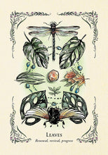 Lataa kuva Galleria-katseluun, The Green Witch&#39;s Oracle - Korttipakka
