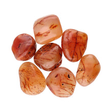 Lataa kuva Galleria-katseluun, Extra Quality Carnelian Tumbled Stones 3x2cm: Pack 0.250 Kg Vives de la Cortada S.L
