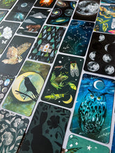 Lataa kuva Galleria-katseluun, How to Be a Moonflower Deck - Korttipakka
